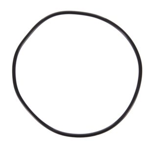 Canister O'ring