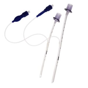 Small Animal - Silicon